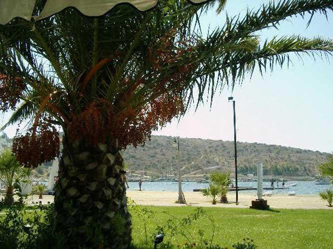 Tuemay Hotel بيتيس المظهر الخارجي الصورة